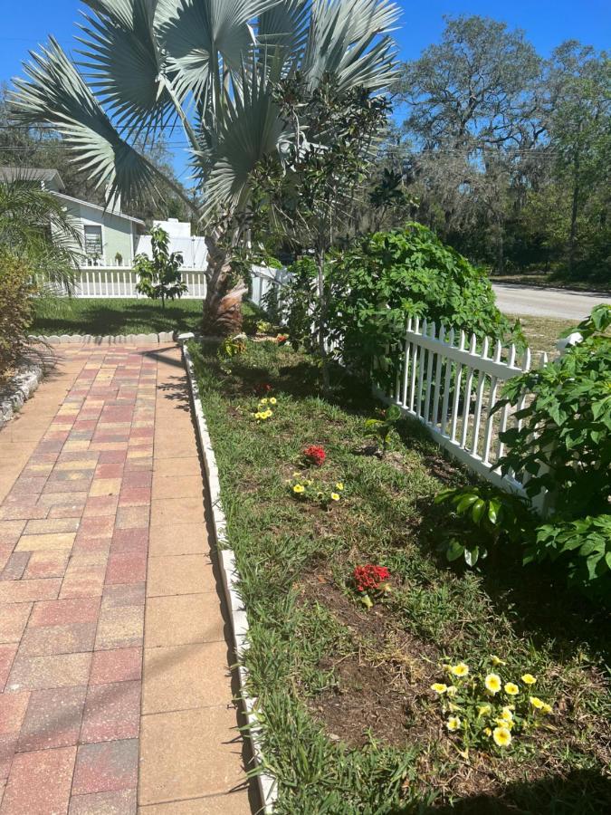 Caribbean Splendor Vacation Rental Near Bush Gardens Tampa Fl Dış mekan fotoğraf