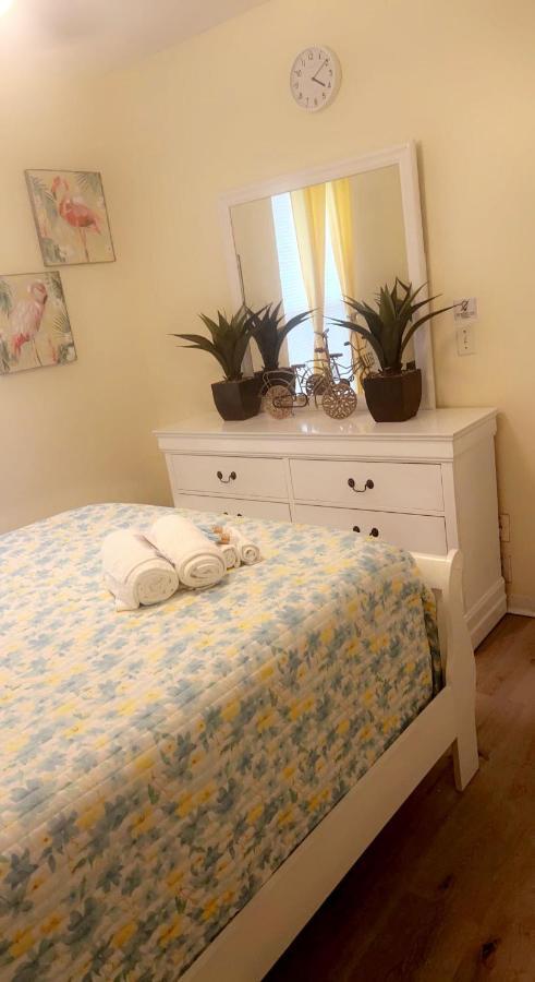 Caribbean Splendor Vacation Rental Near Bush Gardens Tampa Fl Dış mekan fotoğraf